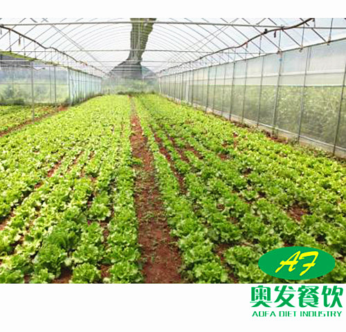 武漢學(xué)校食堂承包工作應(yīng)該如何做到更好？